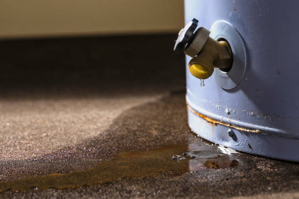 Best Water damage restoration near me  in Somerset, MD
