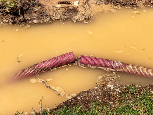 Best Water damage contractors near me  in Somerset, MD