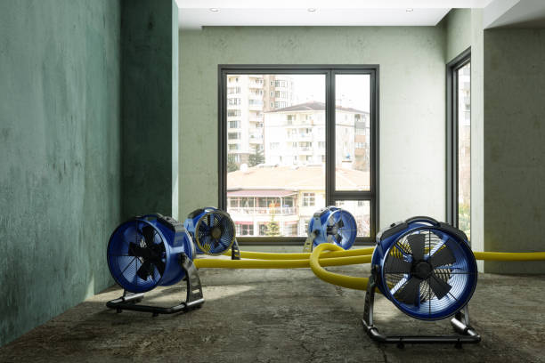 Best Water damage restoration process  in Somerset, MD